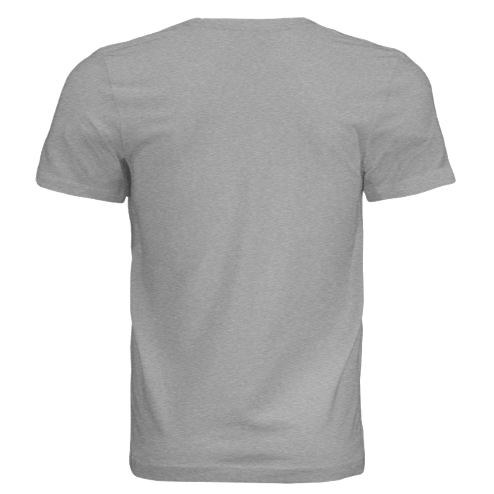 Athletic Grey Triblend - 3413C - BACK